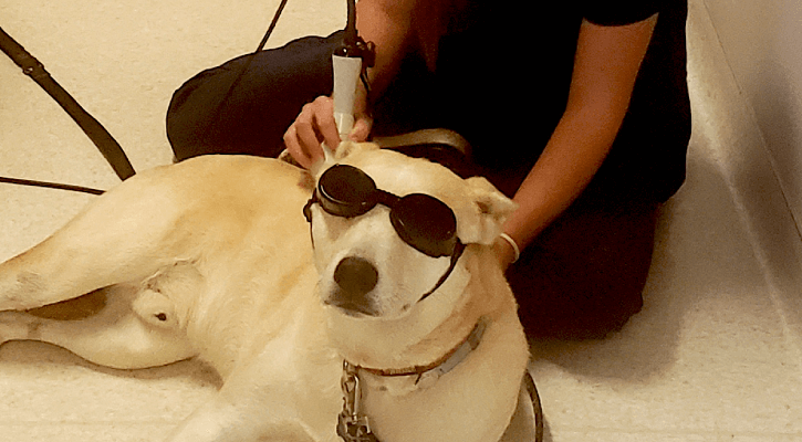 Laser Therapy