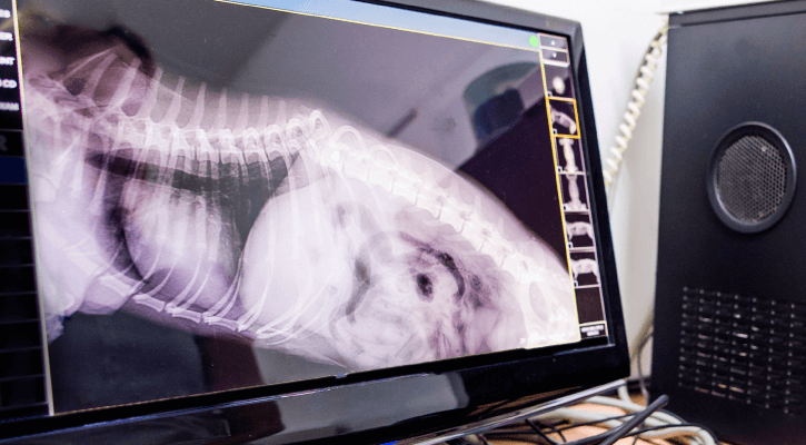 Radiology